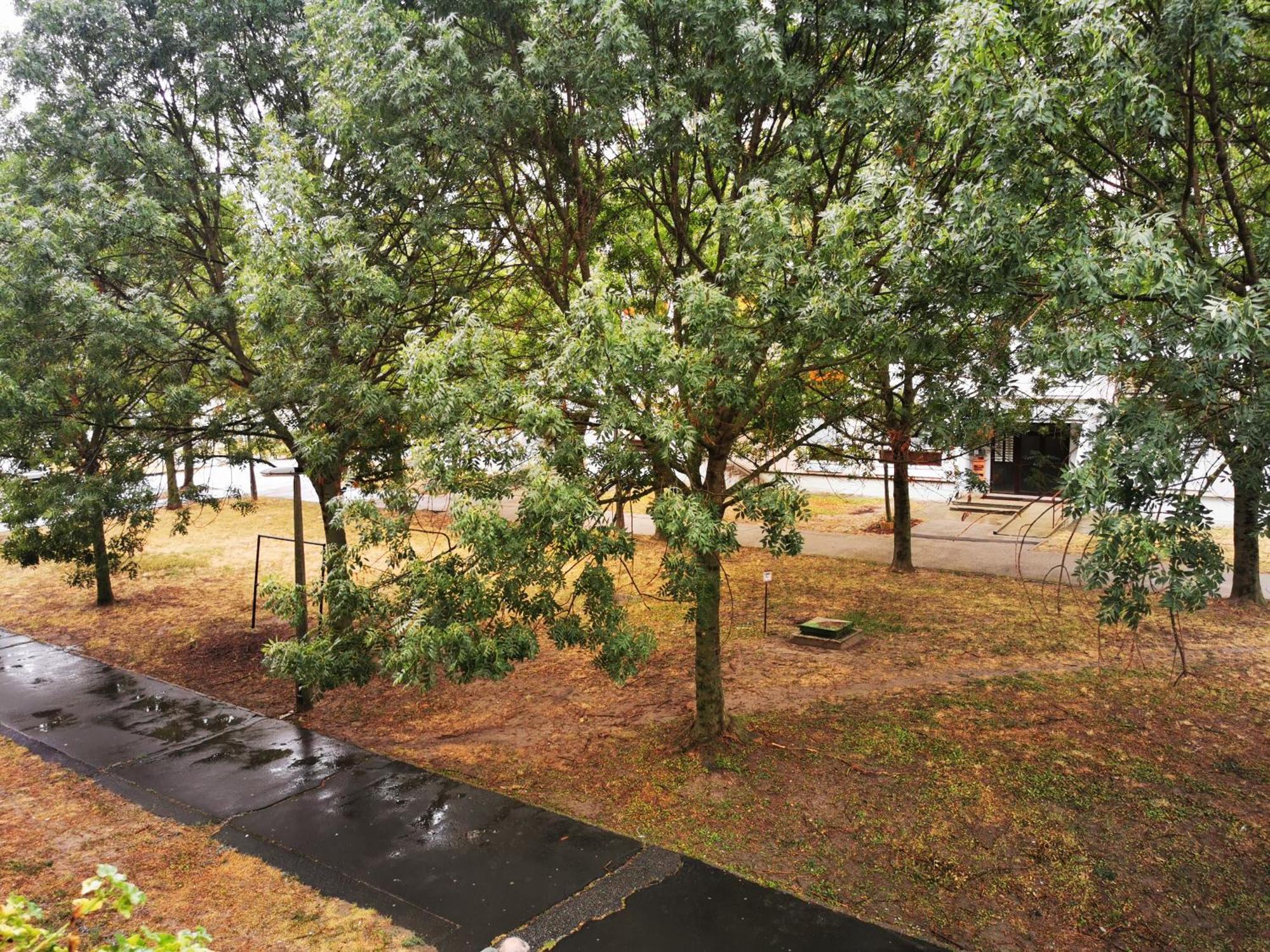 Central Park Apartman Szekszárd Екстериор снимка
